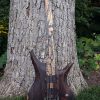Pyramid Guitars Co., Acer Guitars Dealer