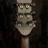Pyramid Guitars Co., Acer Guitars Dealer
