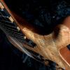 Pyramid Guitars Co., KxK Dealer