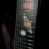 Pyramid Guitars Co., Dennison Guitars Dealer